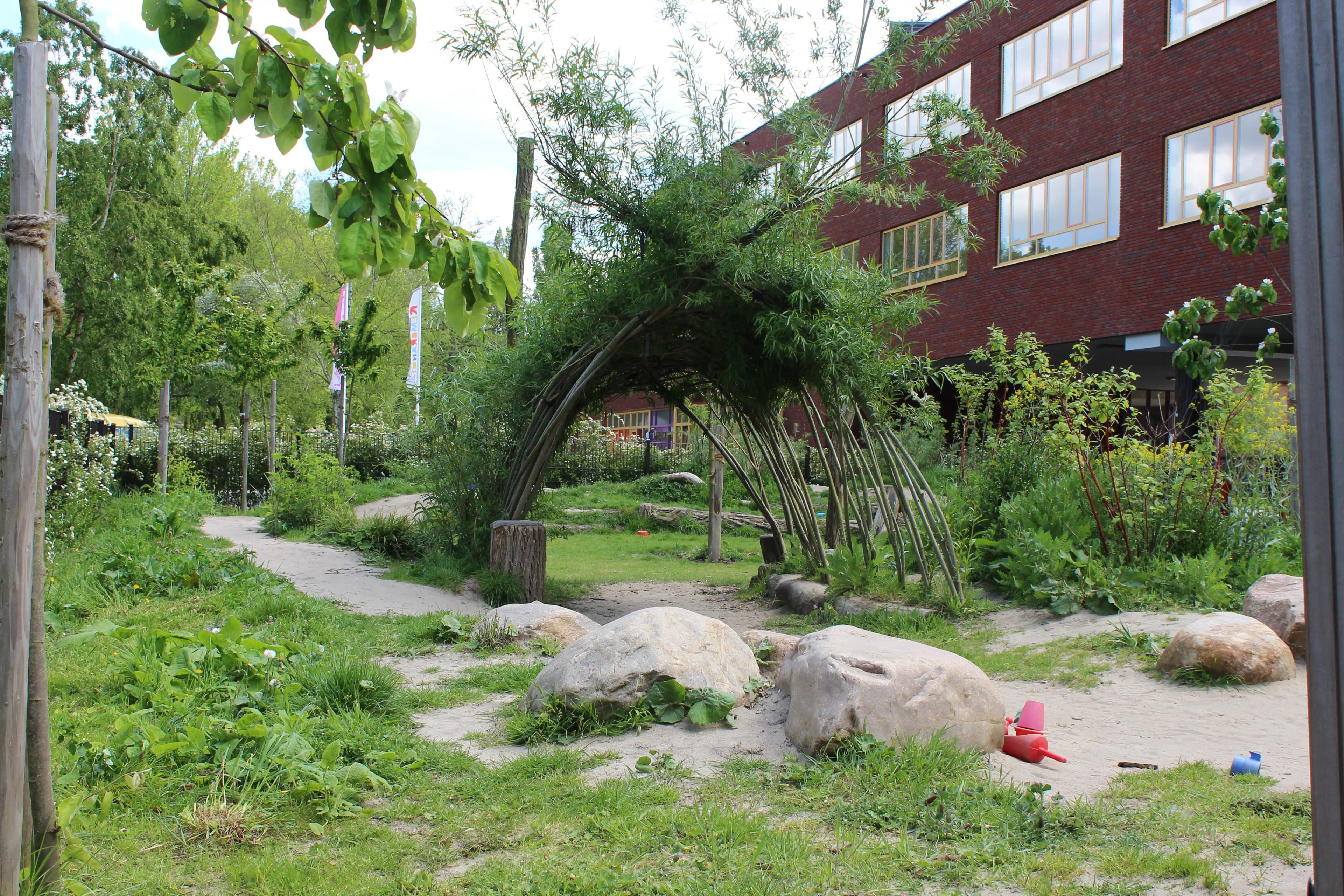 Tunnel de saules dans une cour naturelle