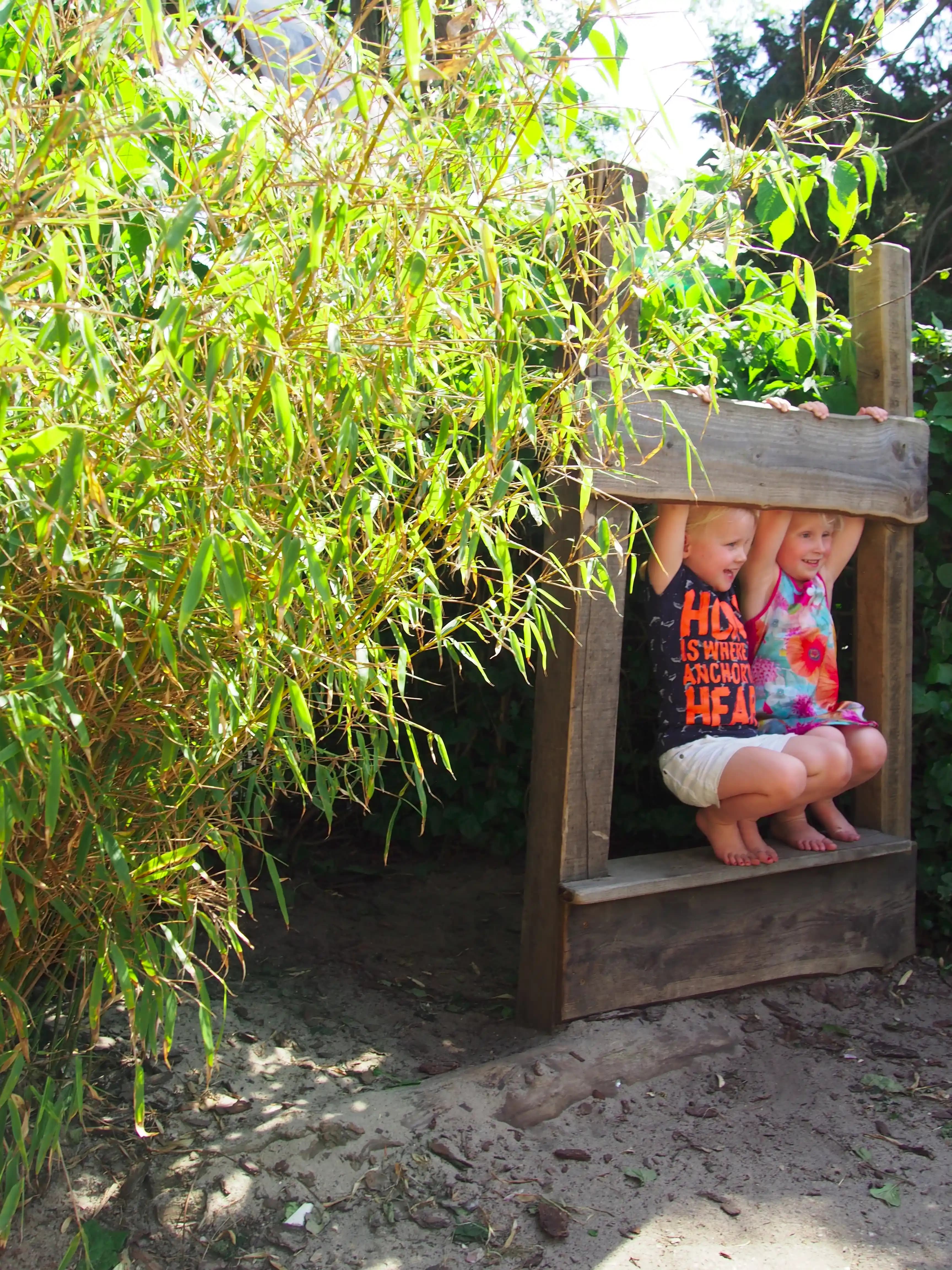 Enfants jouant dans une cabane en bois